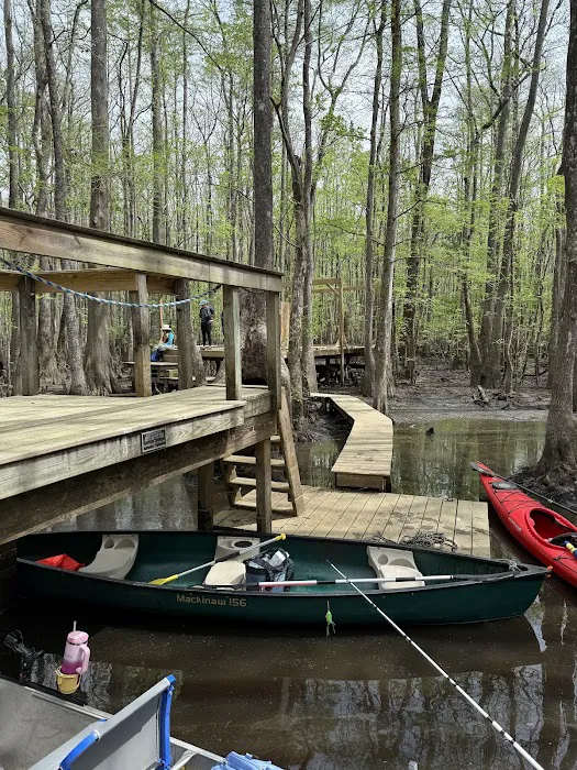 Beaver Lodge and Beaver Tail Picture 5