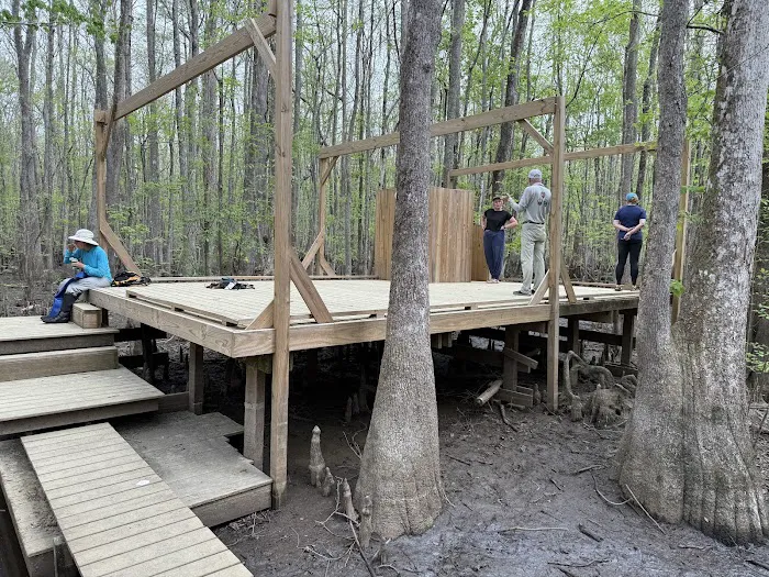 Beaver Lodge and Beaver Tail Picture 3
