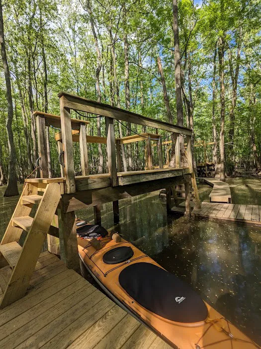 Beaver Lodge and Beaver Tail Picture 2