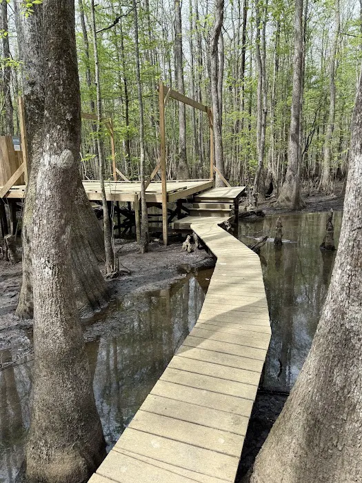 Beaver Lodge and Beaver Tail Picture 6