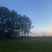 Ross’ Paradise Park ico