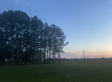 Ross’ Paradise Park