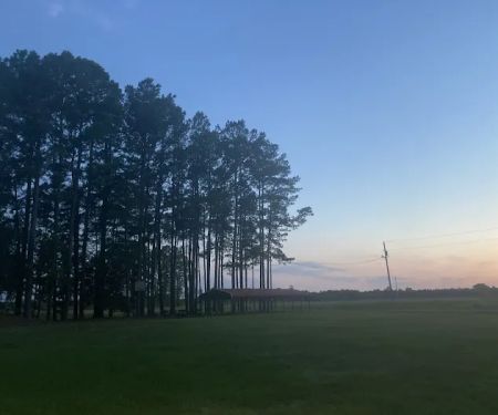 Rossu2019 Paradise Park