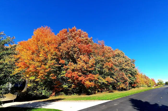 Traverse Bay RV Resort Picture 4