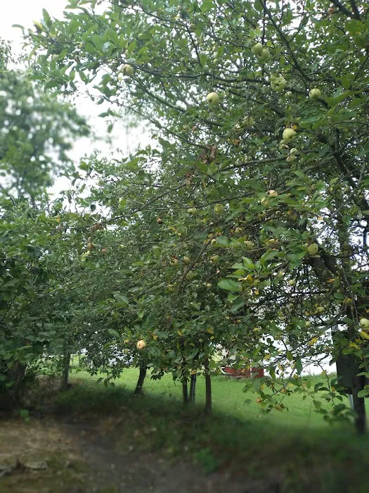 Green Acres Family Campground Picture 8