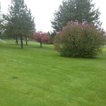 Pheasant Ridge Estates