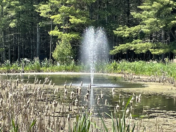 Northern Bear Paw RV Park LLC Picture 5
