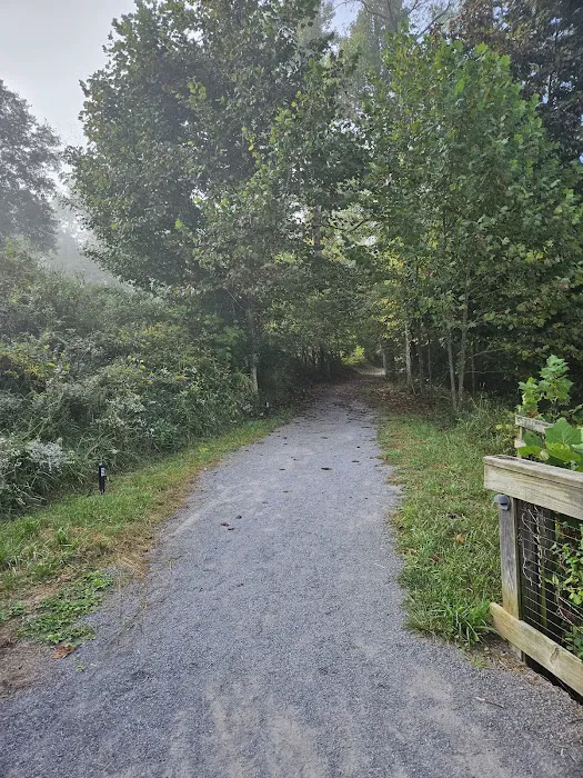 Briar Point Campground Picture 4
