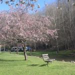 Riffle Run Campground