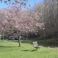 Riffle Run Campground ico