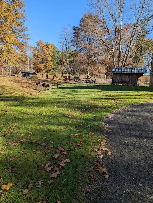 Bulltown Campground Picture 9