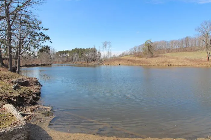 Sparkman Lake Picture 9