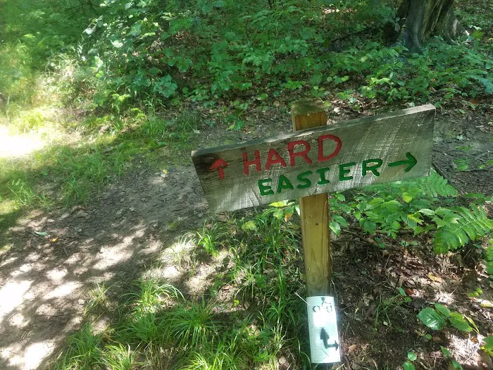 Camp Tuscazoar Foundation Inc Picture 6