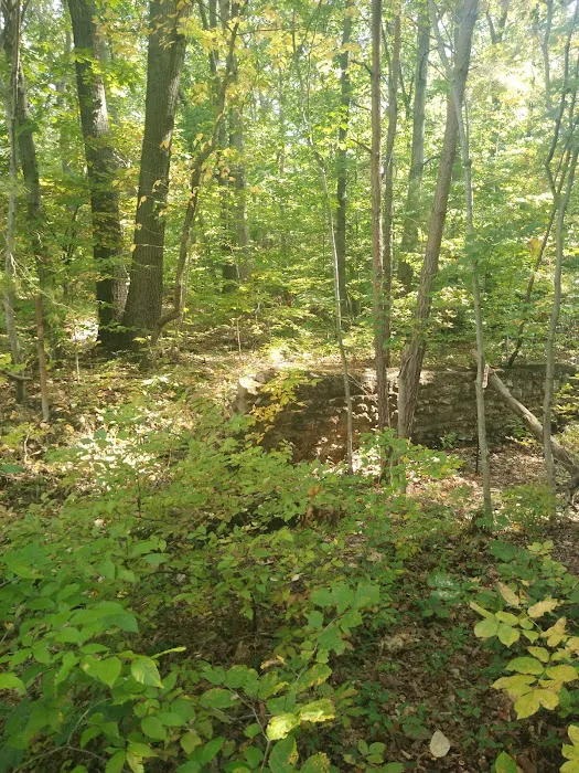 Camp Tuscazoar Foundation Inc Picture 4