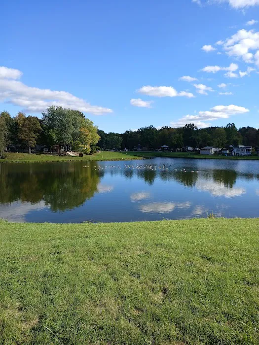 Springwood Lake Camp Club Picture 3