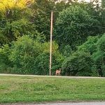 Breezy Heights Mobile Home Park