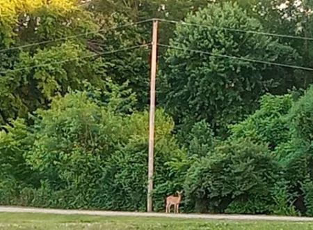 Breezy Heights Mobile Home Park