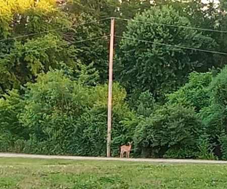 Breezy Heights Mobile Home Park