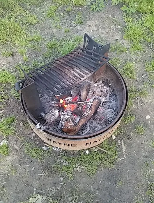 Lane Farm Campground Picture 7