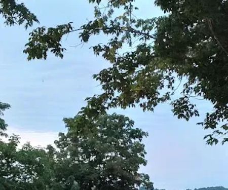 Blue Heron Campground