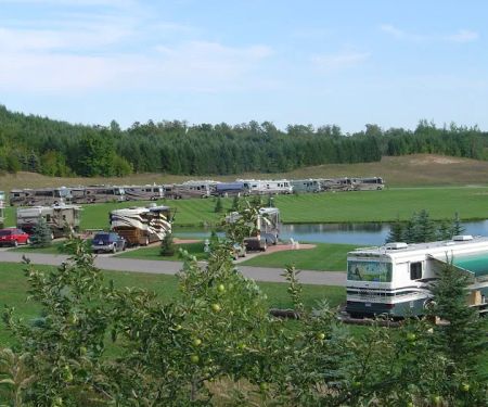 Wild Cherry Resort