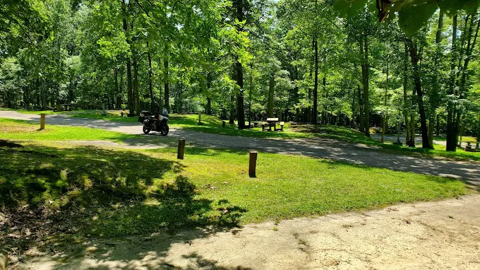 Mountwood Park Campground Picture 5