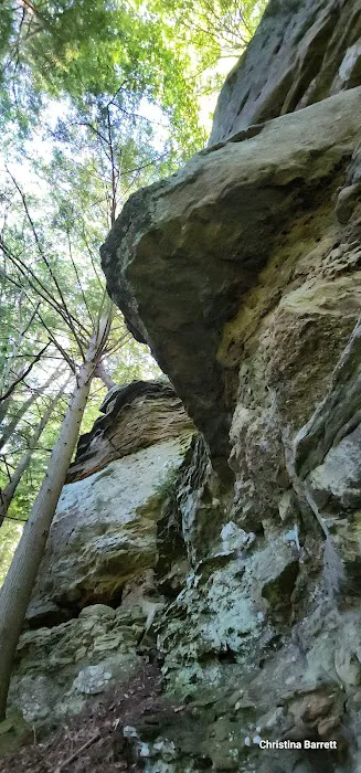 River Run Campground Picture 4