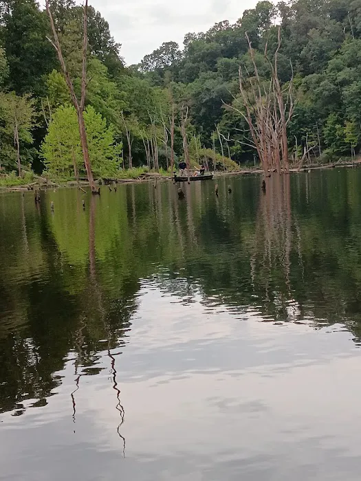 Cokeley Campground Picture 8