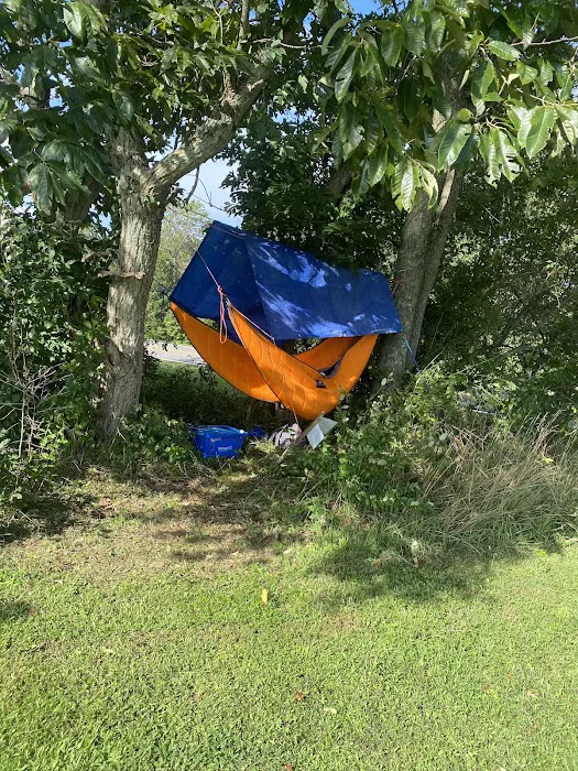 Cokeley Campground Picture 9