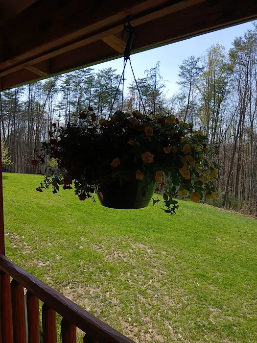 Lakeview Campground Picture 4