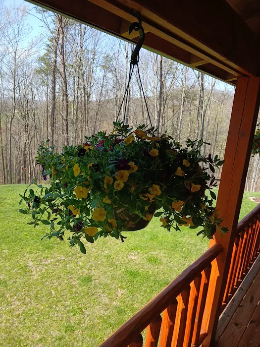 Lakeview Campground Picture 1