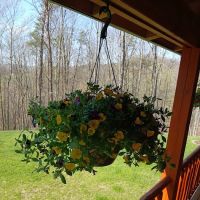 Lakeview Campground ico
