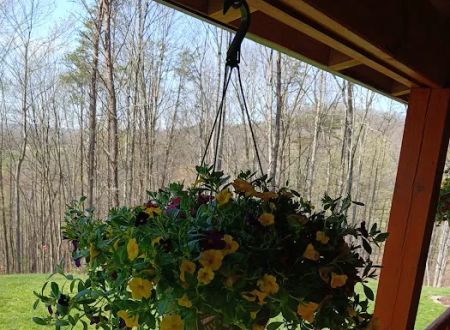 Lakeview Campground