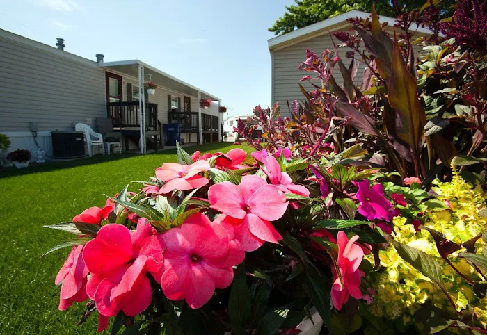 Chief Mobile Home Park Picture 2