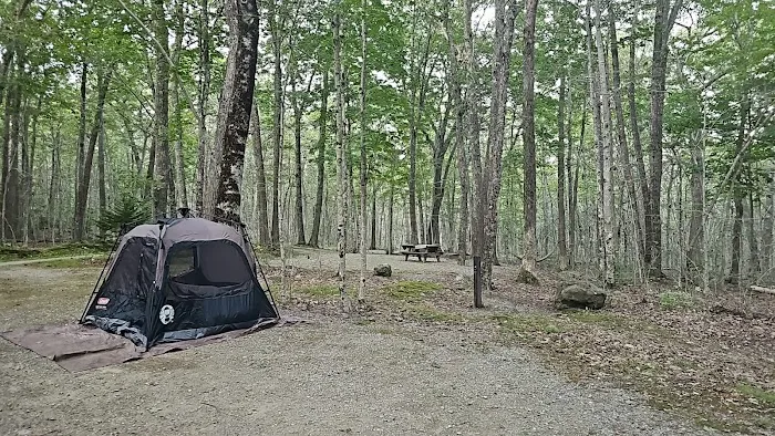 Camden Hills State Park Campground Picture 1