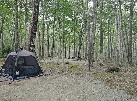 Camden Hills State Park Campground