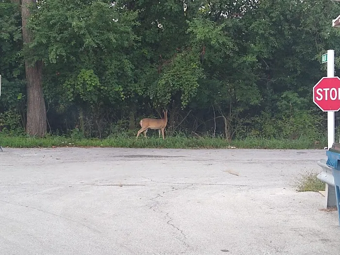 Valley Oaks Mobile Home Park Picture 2