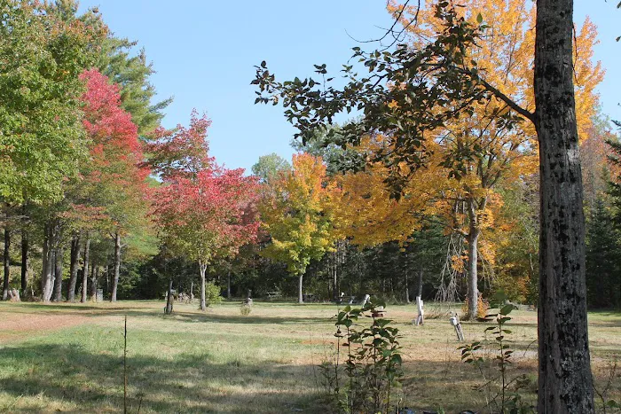 Mystic Valley Campground Picture 1