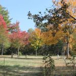 Mystic Valley Campground
