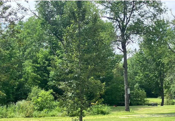 Mystic Valley Campground Picture 5