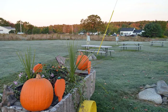 Pumpkin Patch RV Resort Picture 5