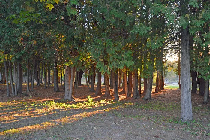 Pumpkin Patch RV Resort Picture 7
