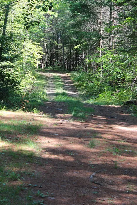 Paul Bunyan Campground Picture 5