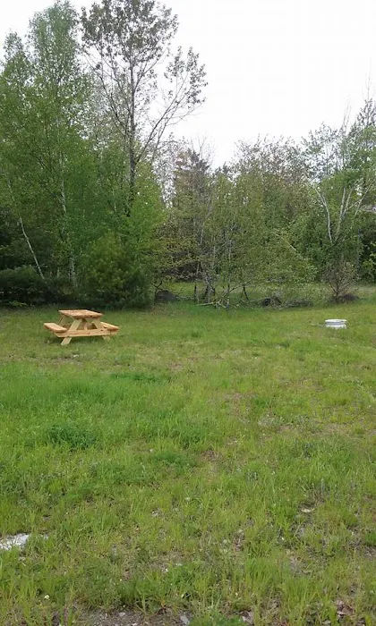 Timeout Wilderness Campground Picture 1