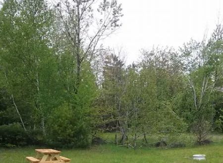 Timeout Wilderness Campground