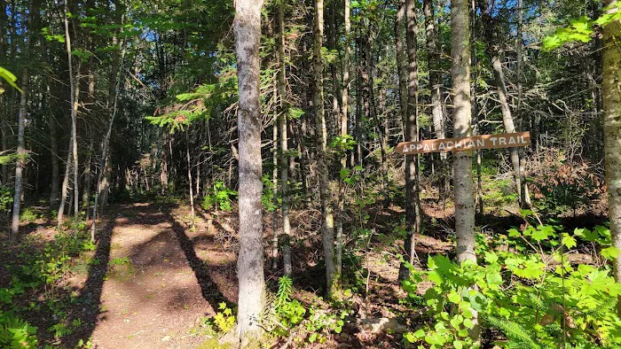 100 Mile Wilderness Adventures Picture 4