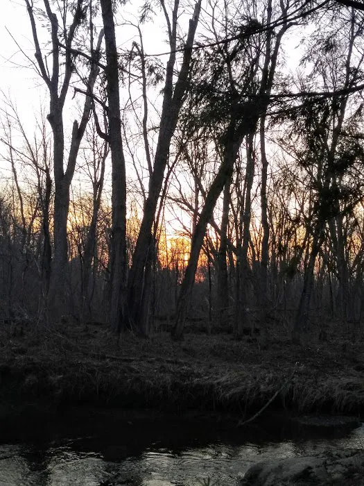 West Branch Pleasant River Campsite #6 Picture 1