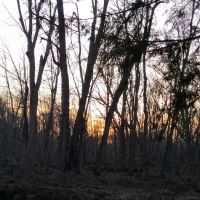 West Branch Pleasant River Campsite #6 ico