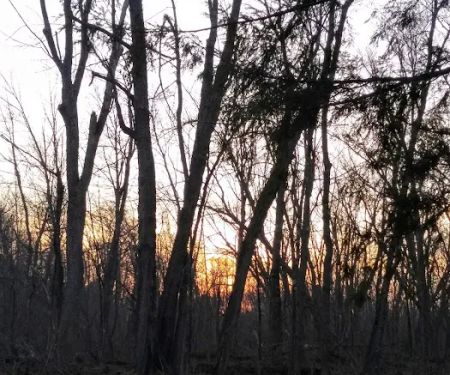 West Branch Pleasant River Campsite #6