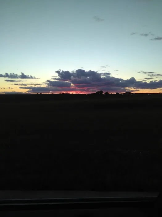 Shady Oaks Picture 7